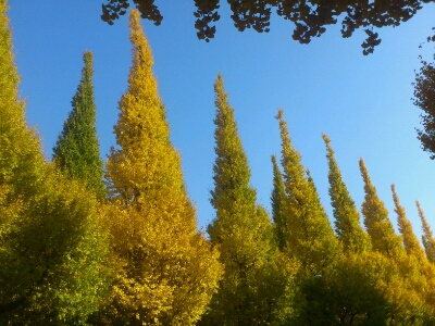 c0207113_21391864.jpg