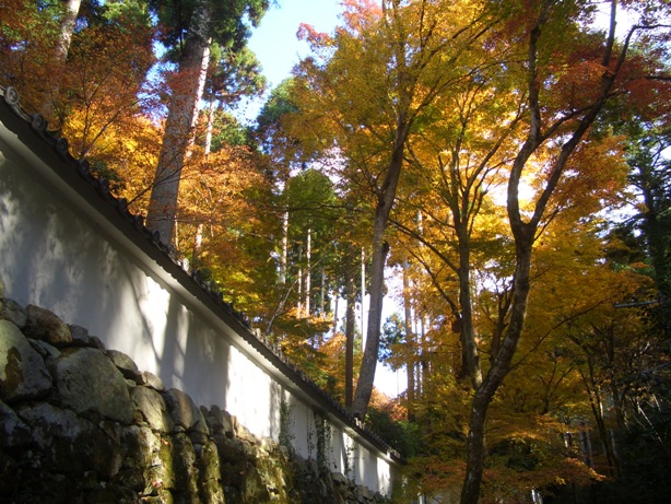 e0033713_18300910.jpg