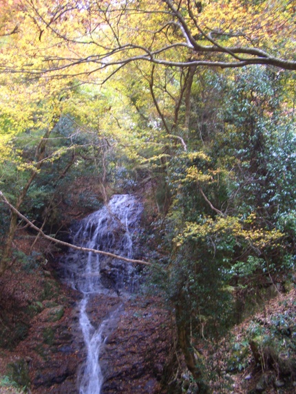 e0033713_18301278.jpg