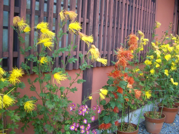 e0033713_18433697.jpg