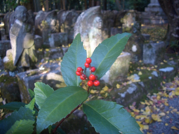 e0033713_19042360.jpg