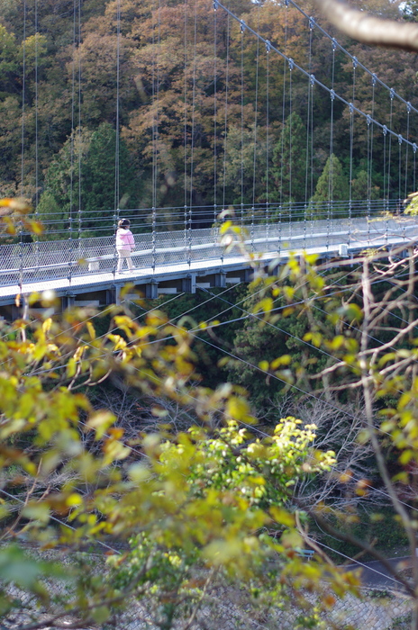 f0195813_22174519.jpg