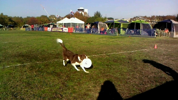 c0181414_23415136.jpg