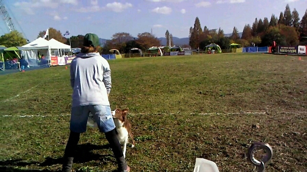 c0181414_23421335.jpg