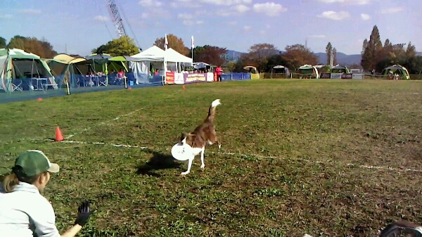 c0181414_23432577.jpg