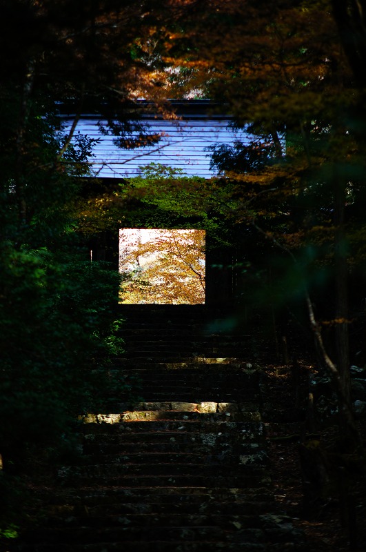 c0119618_2164597.jpg