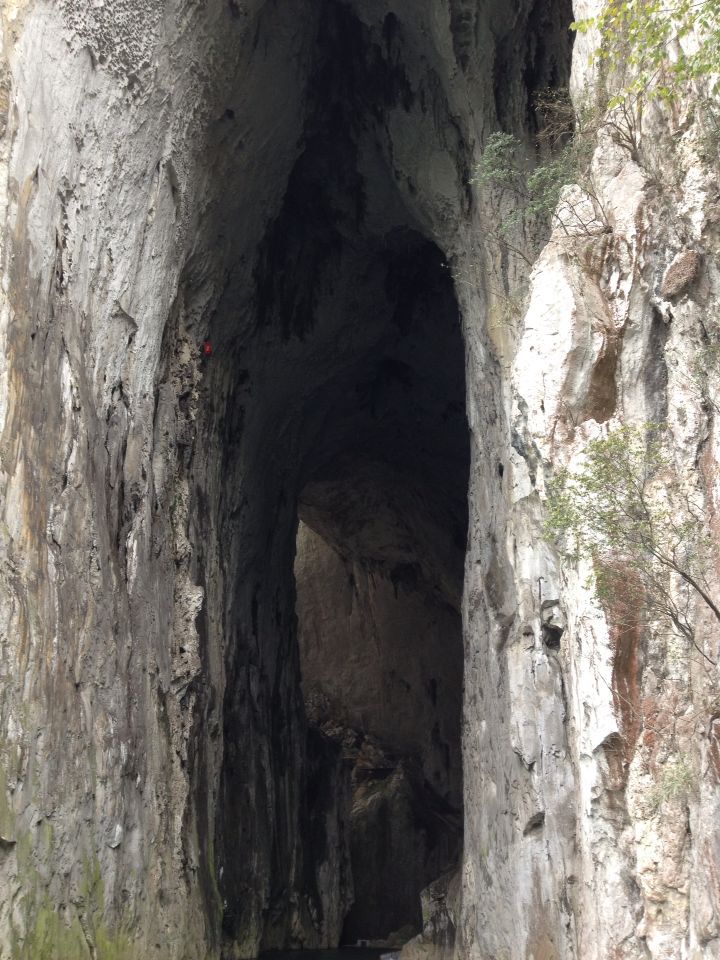 c0210618_20543497.jpg