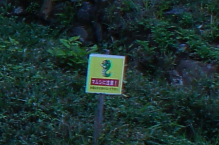b0279623_114343.jpg