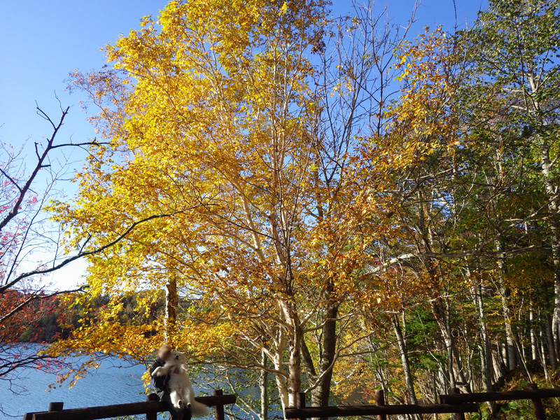 b0146024_12491843.jpg