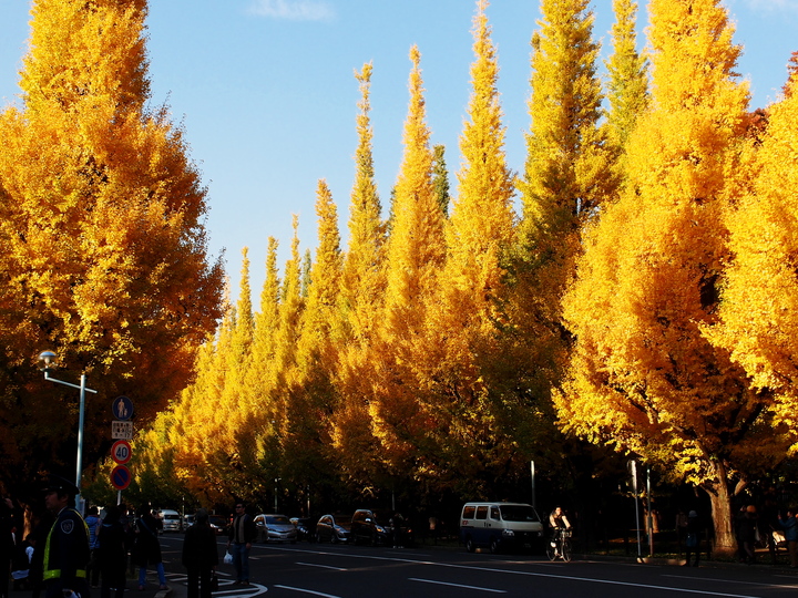 a0253730_17312689.jpg