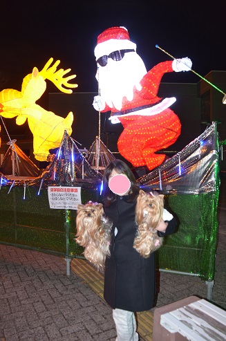f0124830_0594326.jpg