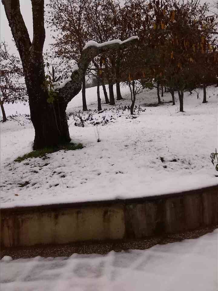 e0203331_238479.jpg