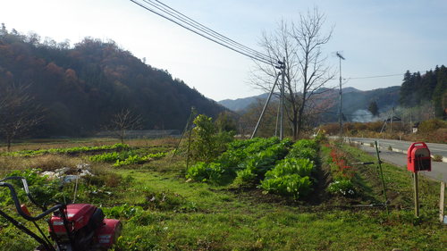 c0300035_2164132.jpg
