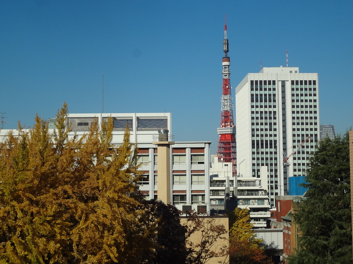 c0193136_216934.jpg