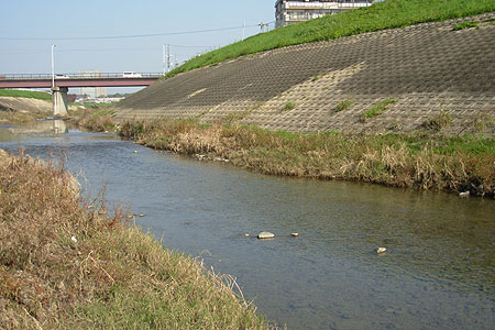 b0174137_1047843.jpg