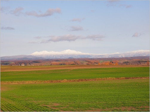 e0022839_2350528.jpg