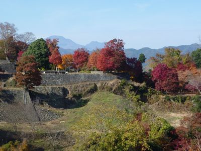 c0211540_21402376.jpg