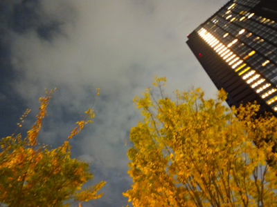f0141840_056511.jpg