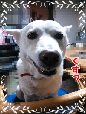 f0195543_22571.jpg
