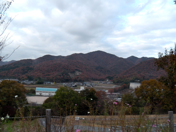 e0096346_14132757.jpg