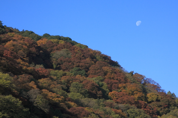 a0024250_11481093.jpg