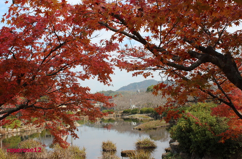 a0249051_022813.jpg