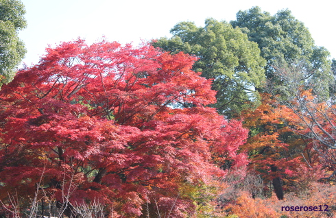 a0249051_042530.jpg