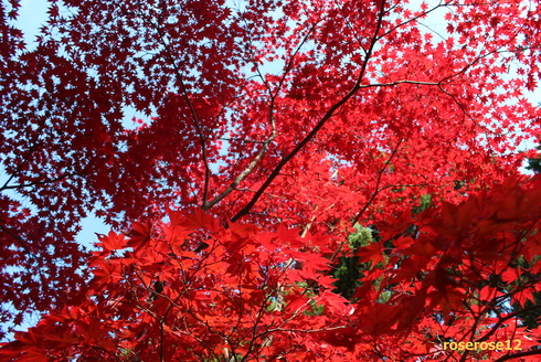 a0249051_054610.jpg