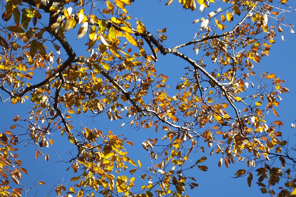 b0236251_18455958.jpg