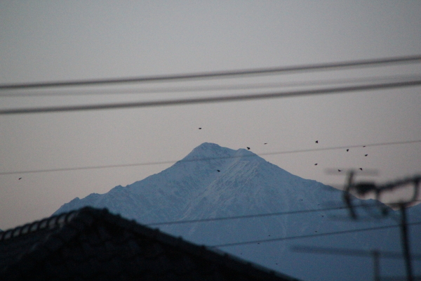 f0160554_21133168.jpg
