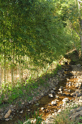 e0122156_205417.jpg