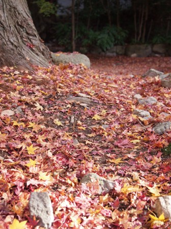 b0246758_21492852.jpg