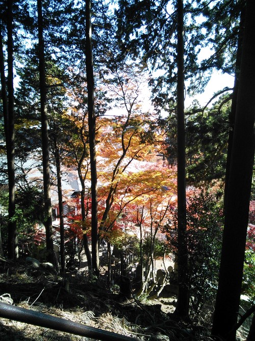 c0248467_23313454.jpg