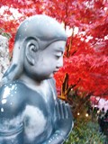 c0248467_23333982.jpg