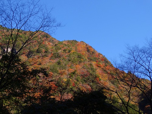 b0135970_17252275.jpg