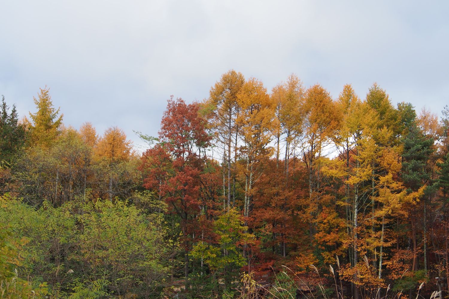 e0307372_16142958.jpg