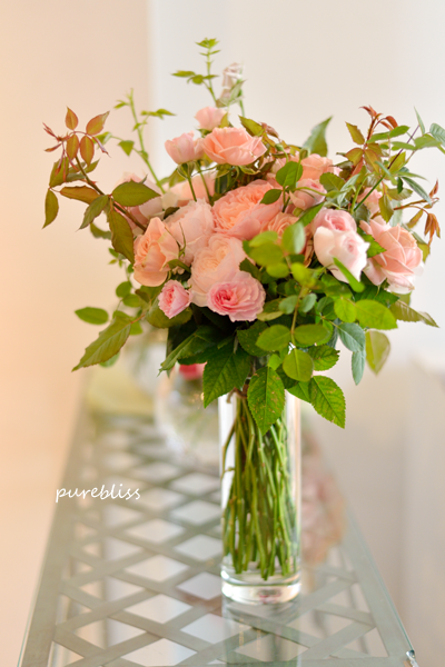 b0243873_19324021.png