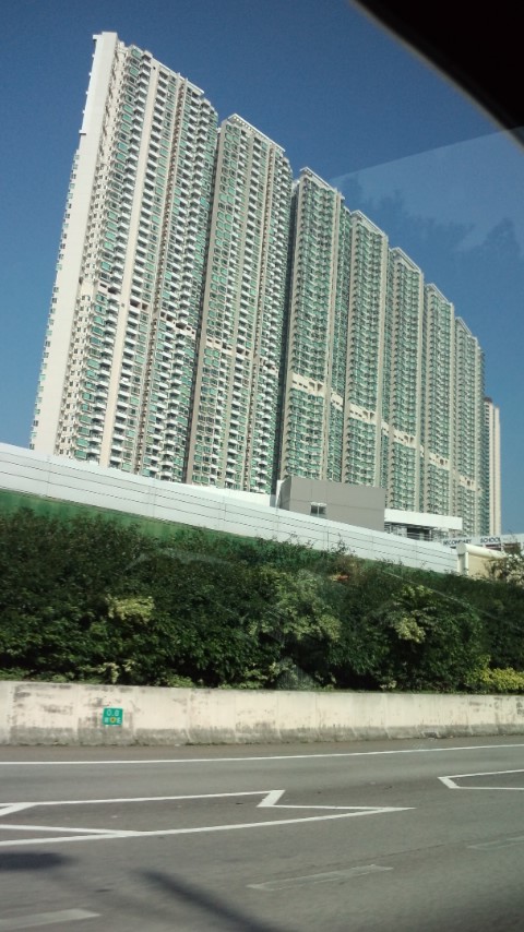 d0151373_12123949.jpg