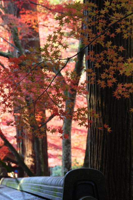 c0148777_21444767.jpg