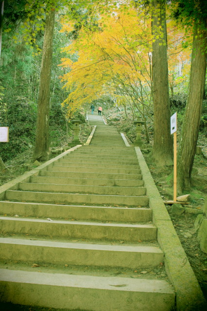 c0148777_21482954.jpg