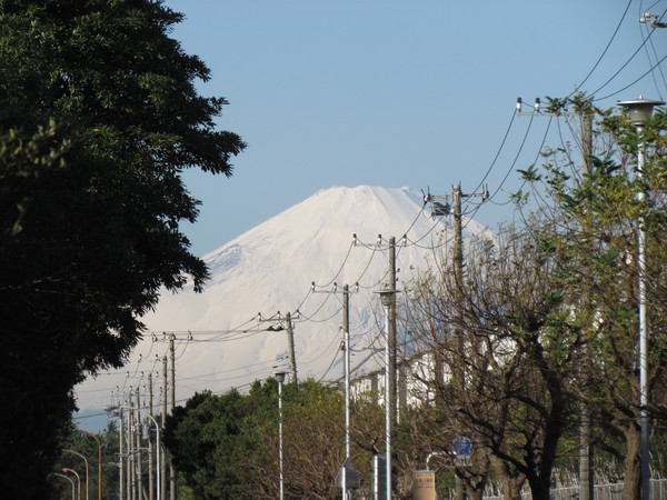 a0137279_2226564.jpg