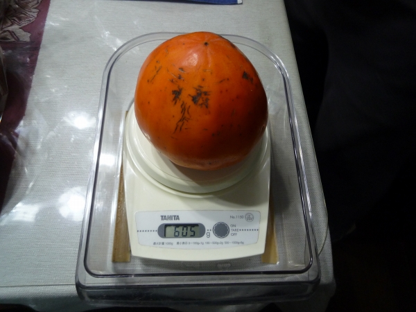 d0149379_19225008.jpg