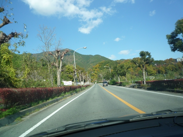 d0149379_19233112.jpg