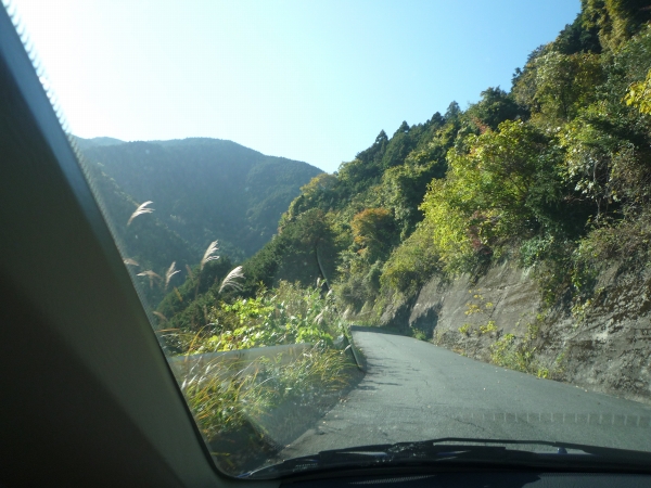 d0149379_20105955.jpg