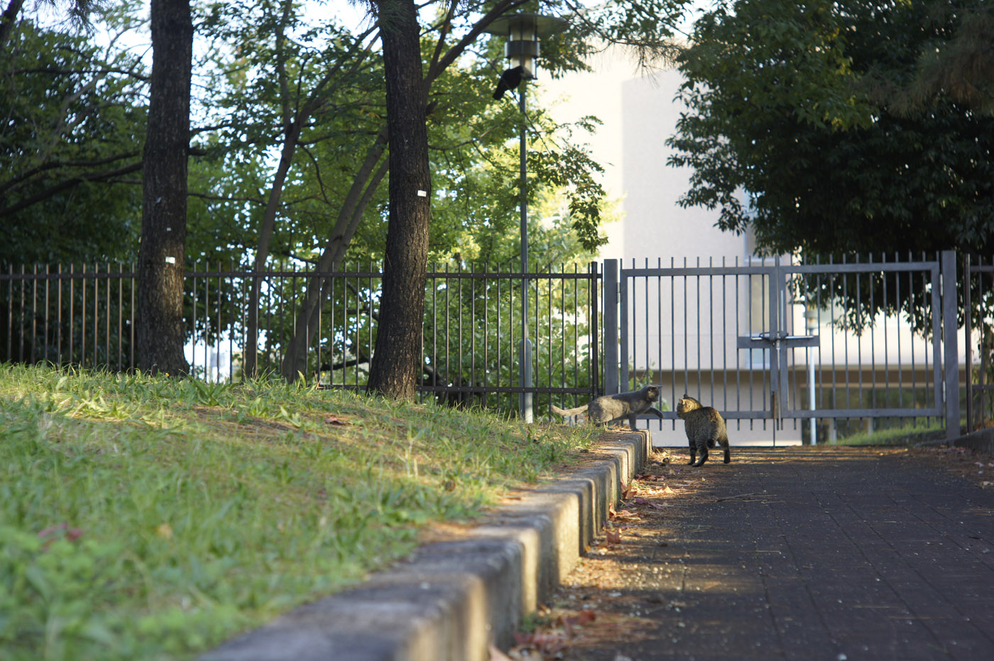 d0286980_1305388.jpg