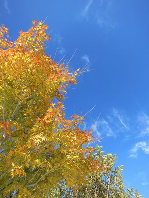 e0012580_00050400.jpg