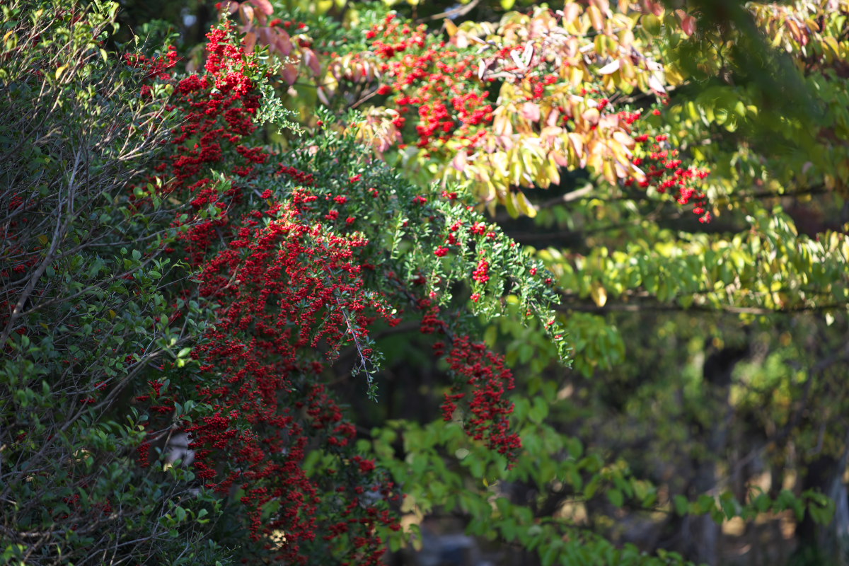 a0083081_21453313.jpg