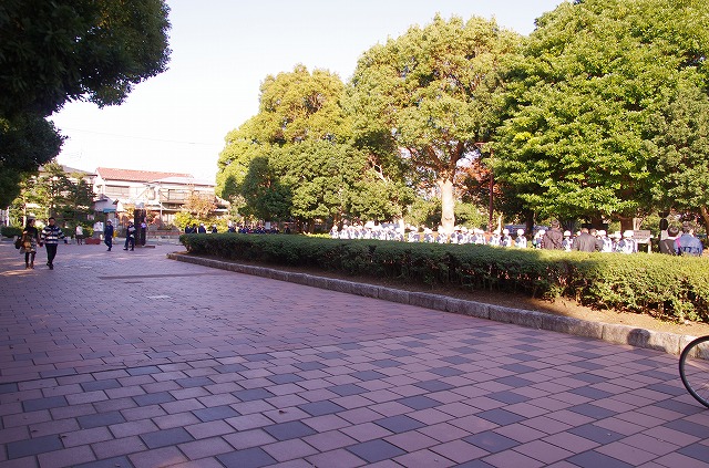 f0169884_16362432.jpg