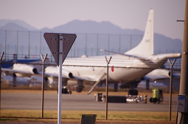 f0169884_1658320.jpg