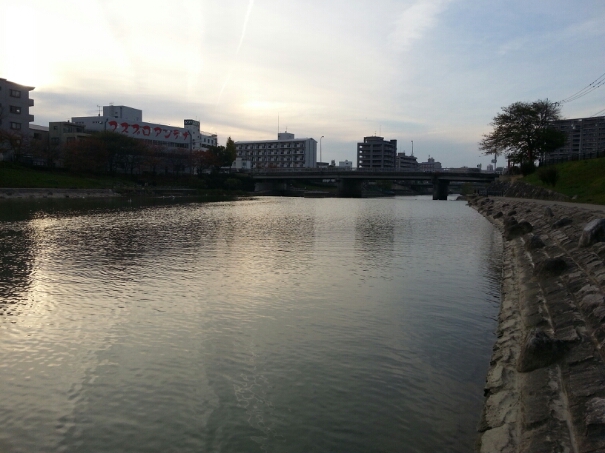 f0183484_17181669.jpg